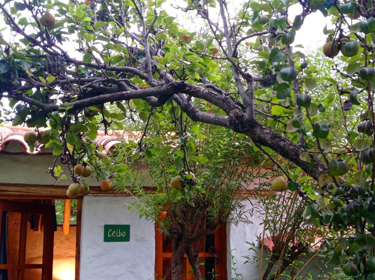 La Selenita Bed and Breakfast Sucre Buitenkant foto