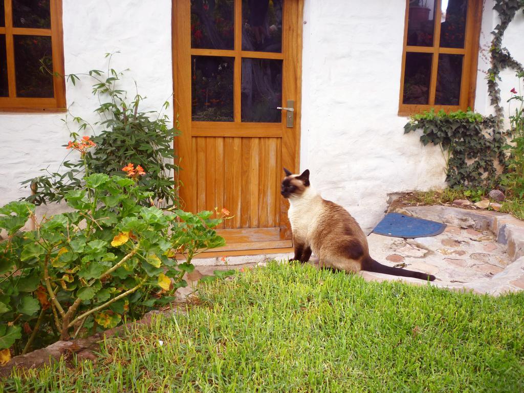 La Selenita Bed and Breakfast Sucre Buitenkant foto