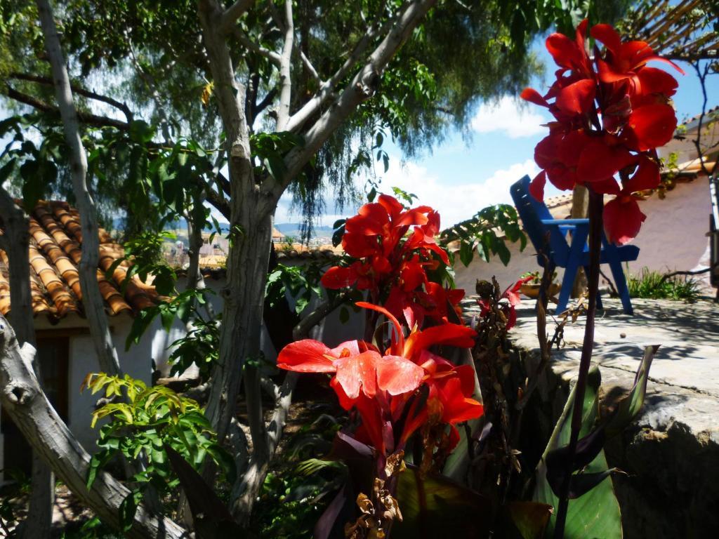 La Selenita Bed and Breakfast Sucre Buitenkant foto