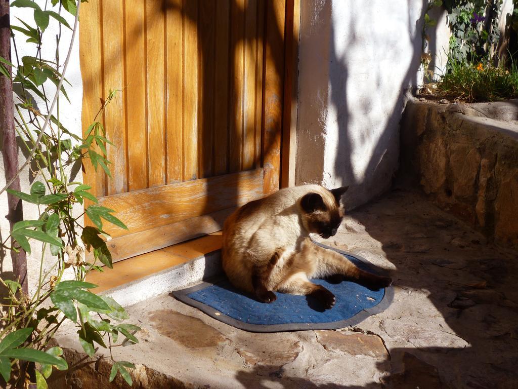 La Selenita Bed and Breakfast Sucre Buitenkant foto