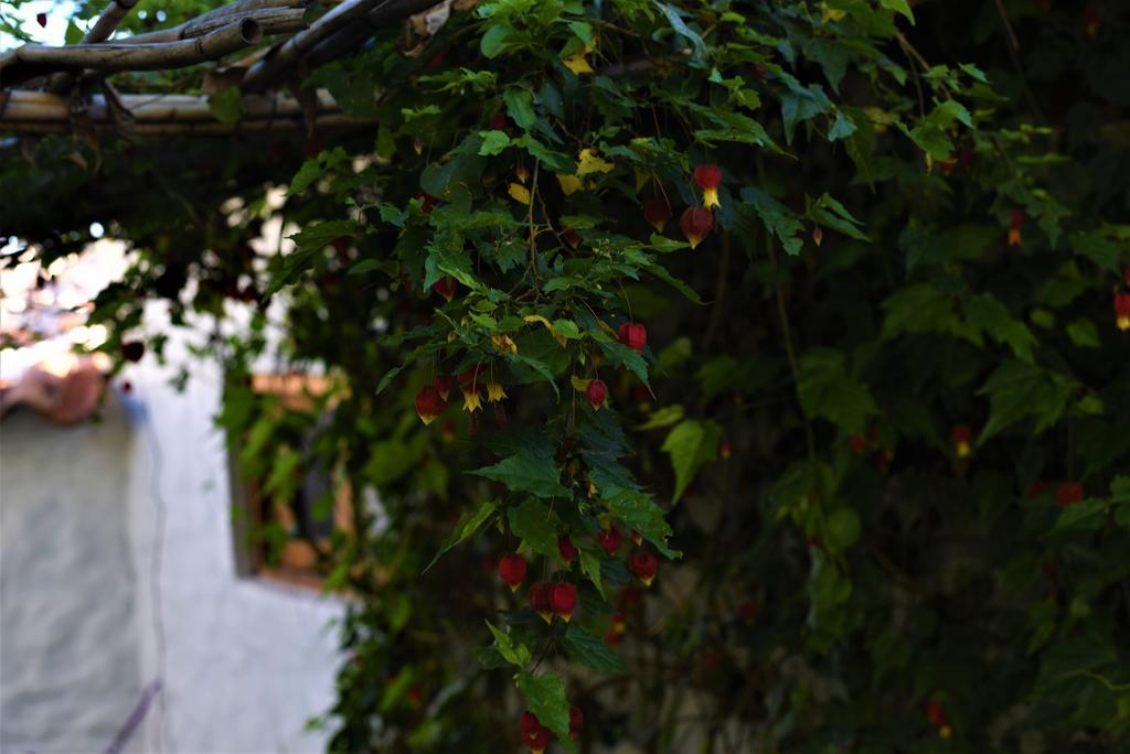 La Selenita Bed and Breakfast Sucre Buitenkant foto