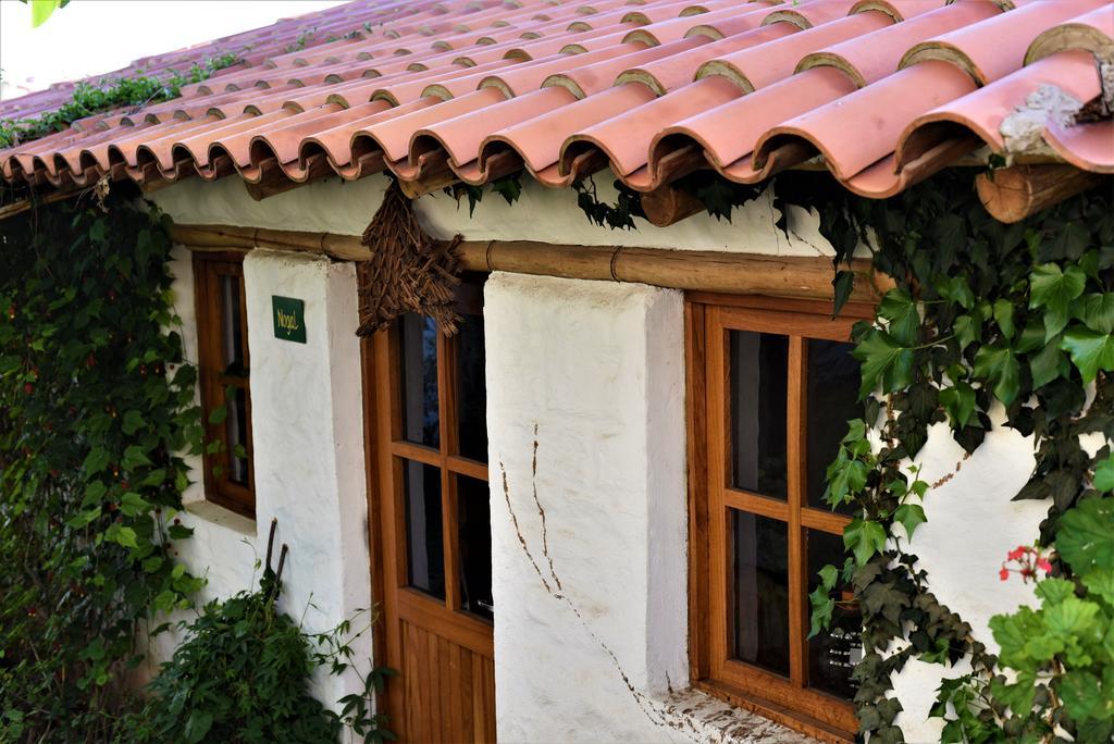 La Selenita Bed and Breakfast Sucre Buitenkant foto